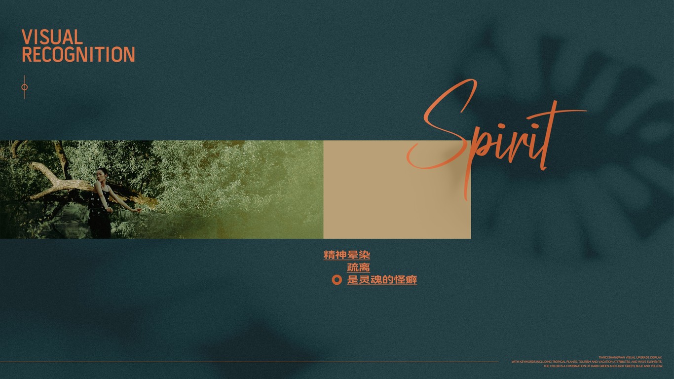 海南澄迈天赐上湾vi图1