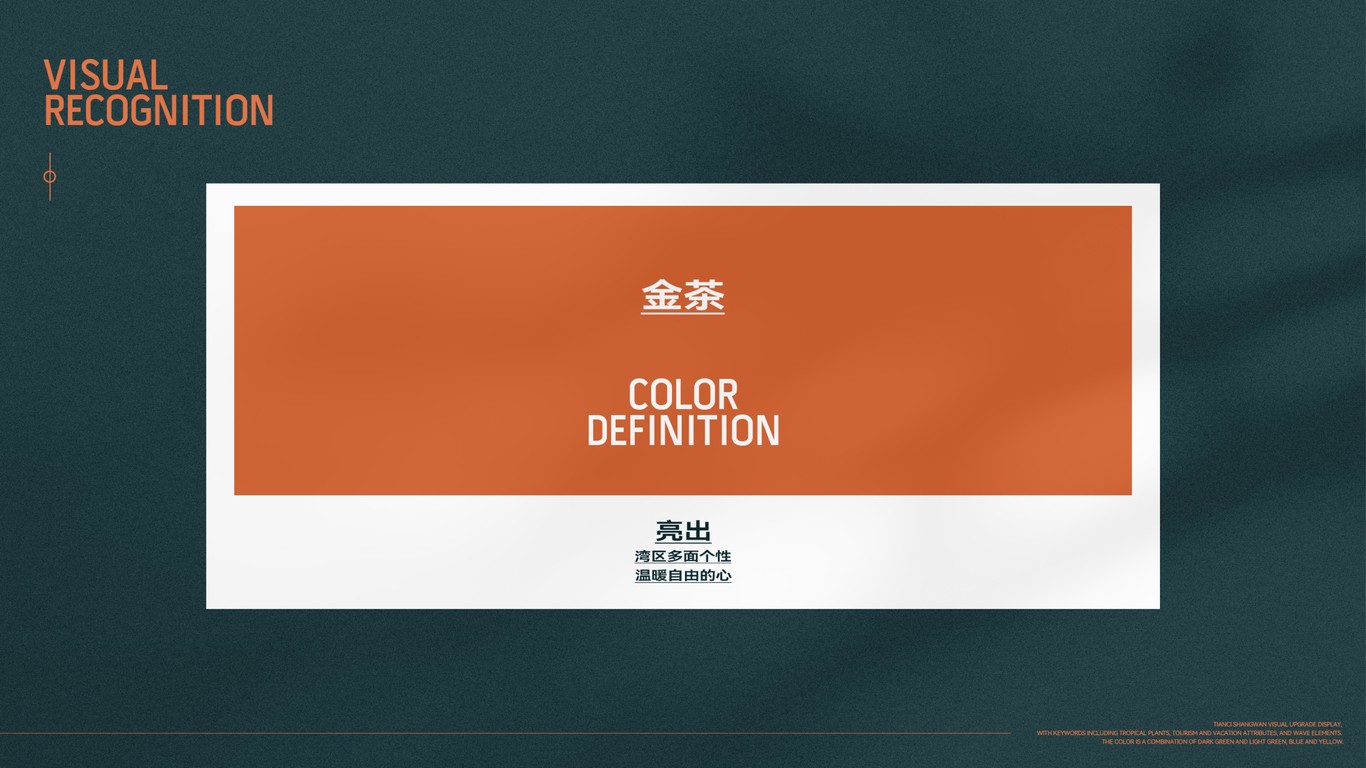 海南澄迈天赐上湾vi图8