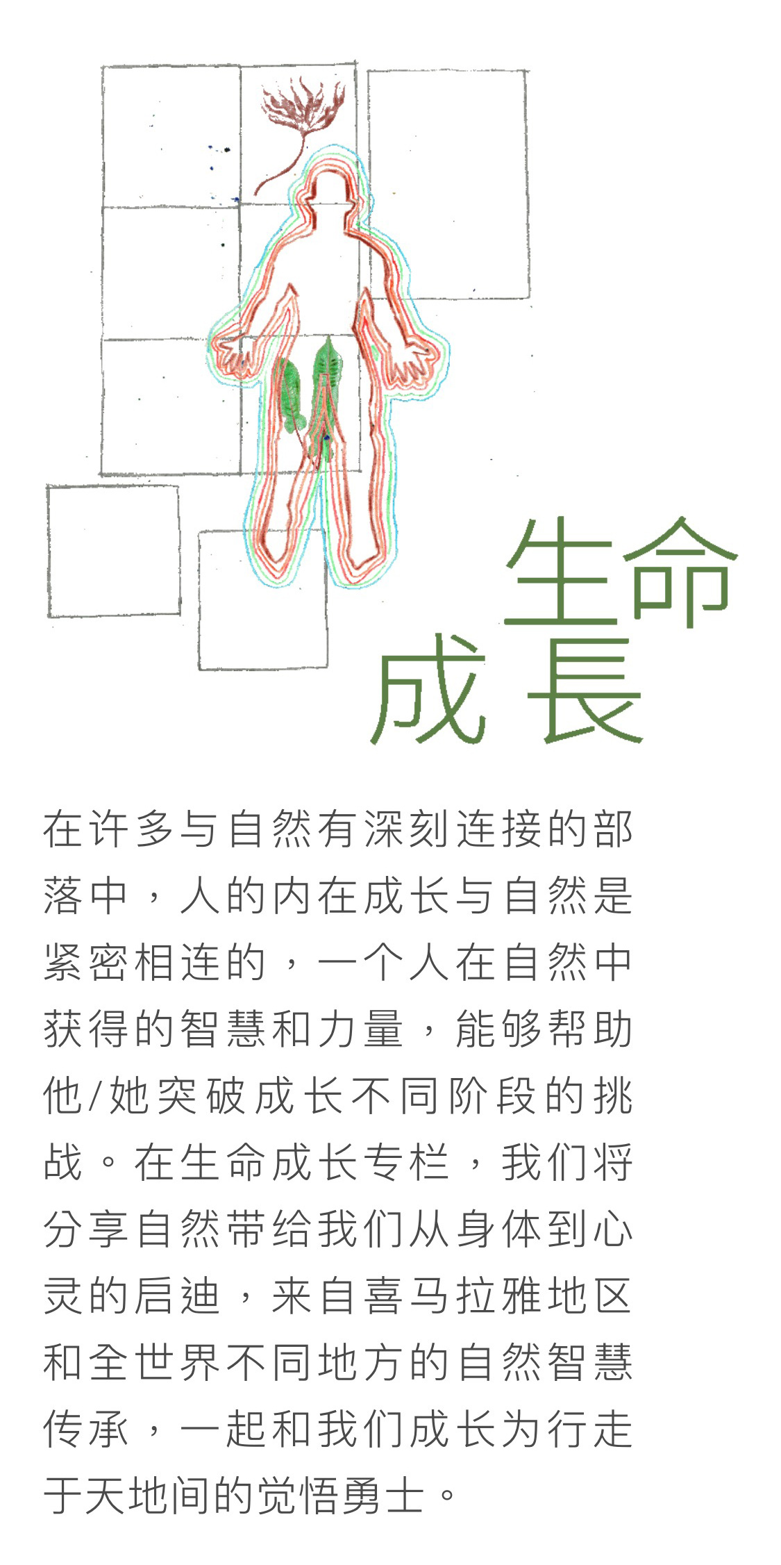 登龍云合森林學(xué)校 - 公眾號形象設(shè)計/宣傳視覺延展圖4