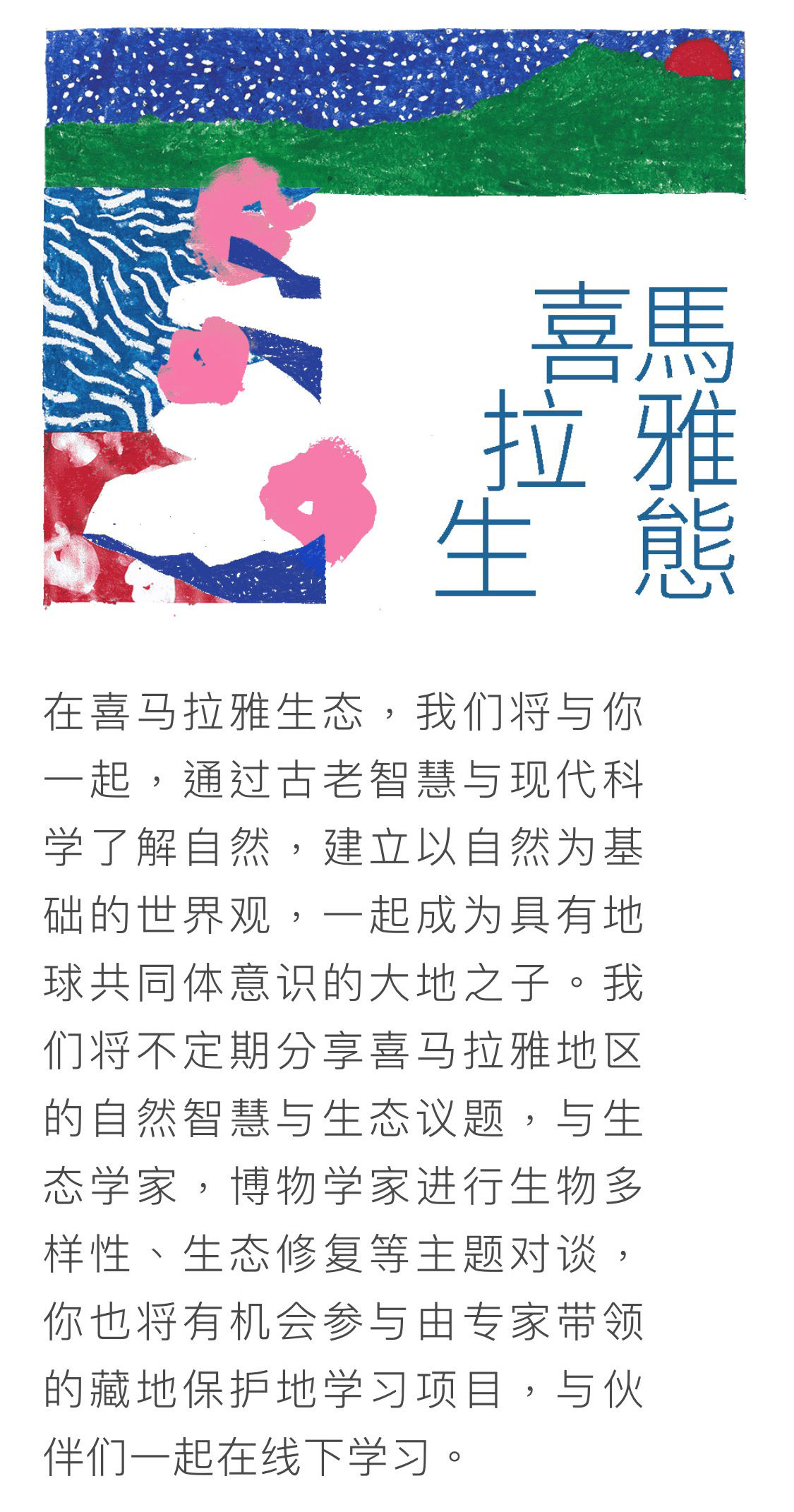 登龍云合森林學(xué)校 - 公眾號形象設(shè)計/宣傳視覺延展圖2