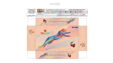 進出口類包裝設(shè)計