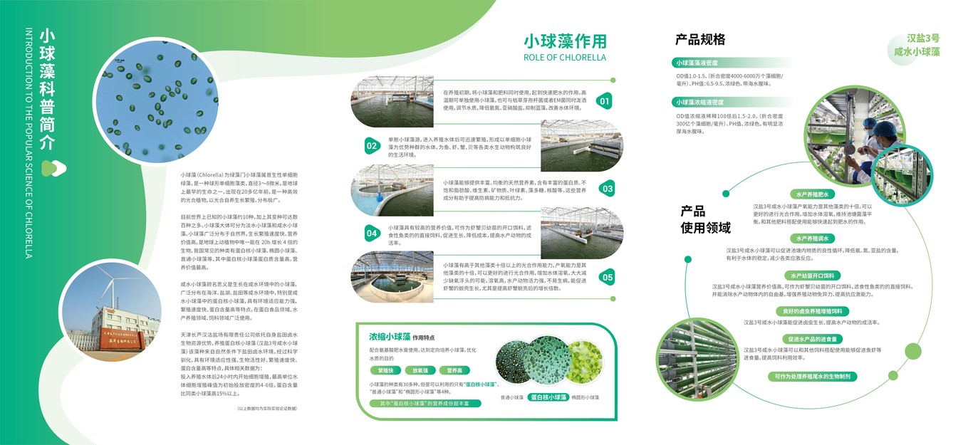 汉盐科瑞VI、包装、物料设计图1