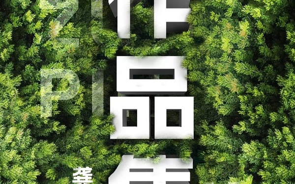 往期案例