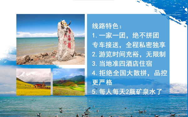 海报 插画