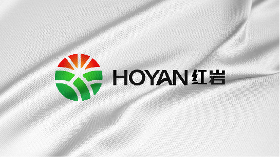 HONGYAN 紅巖圖3