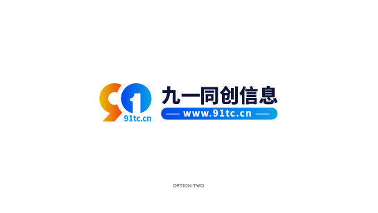 九一同创信息