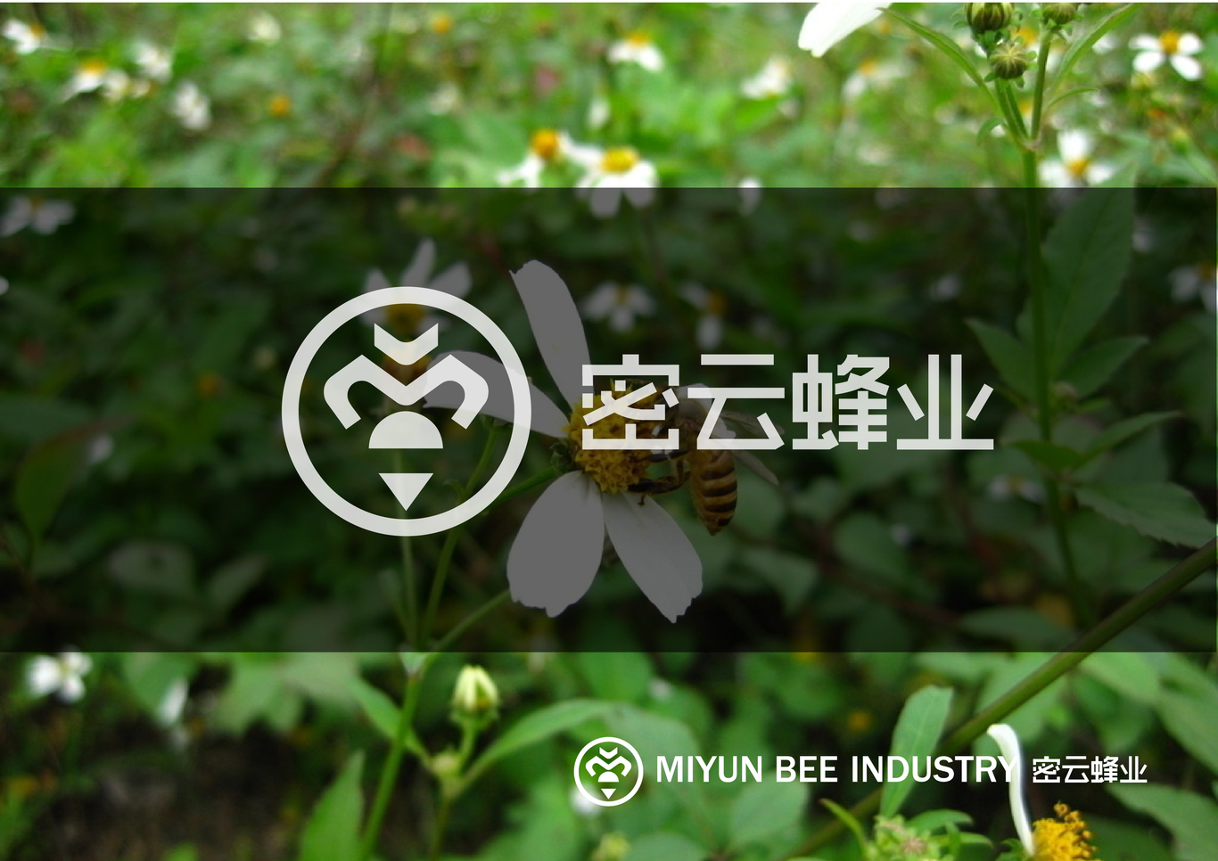 北京密云蜂業(yè)logo設計圖2