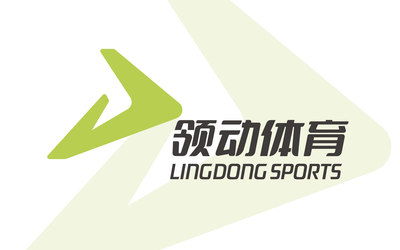 领动体育LOGO设计