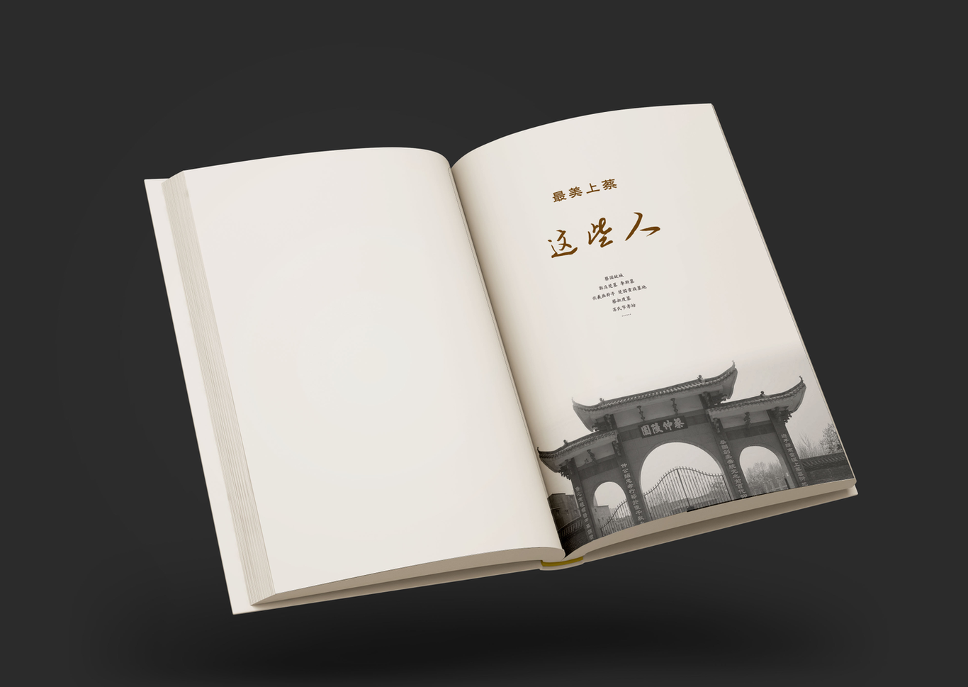 《最美上蔡》系列叢書-書籍裝幀圖2