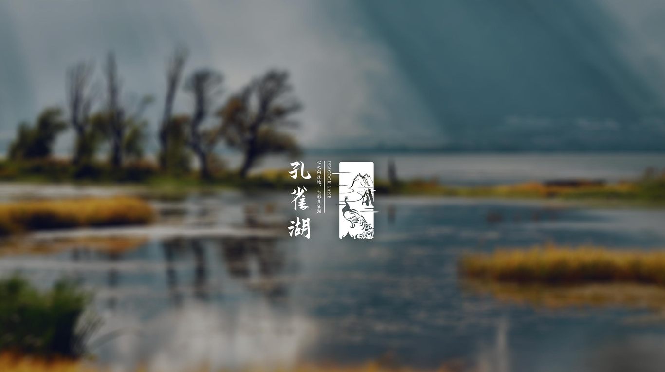 孔雀湖國(guó)家旅游度假區(qū)LOGO設(shè)計(jì)圖3