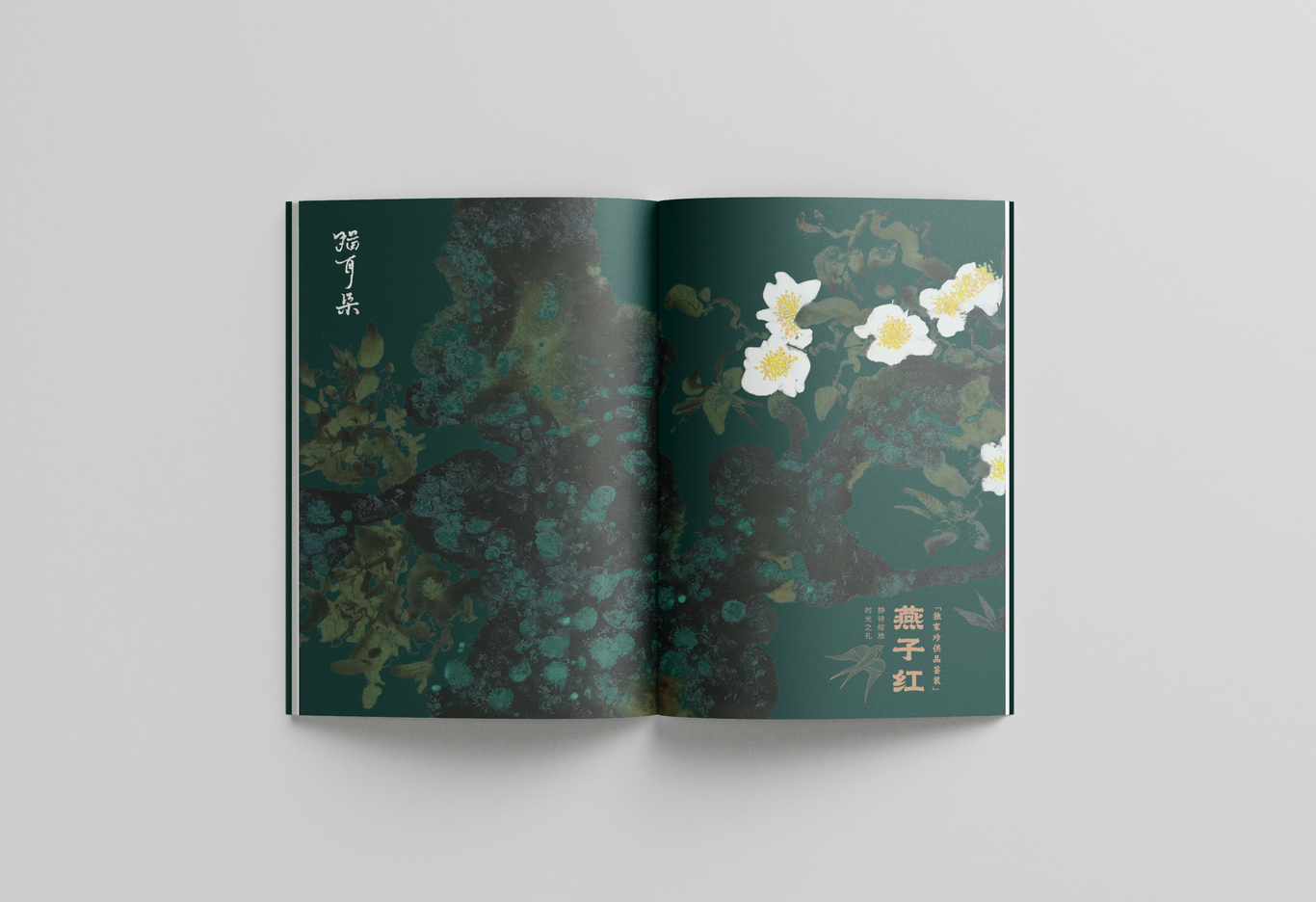 普洱茶-貓耳朵產(chǎn)品手冊設(shè)計圖10