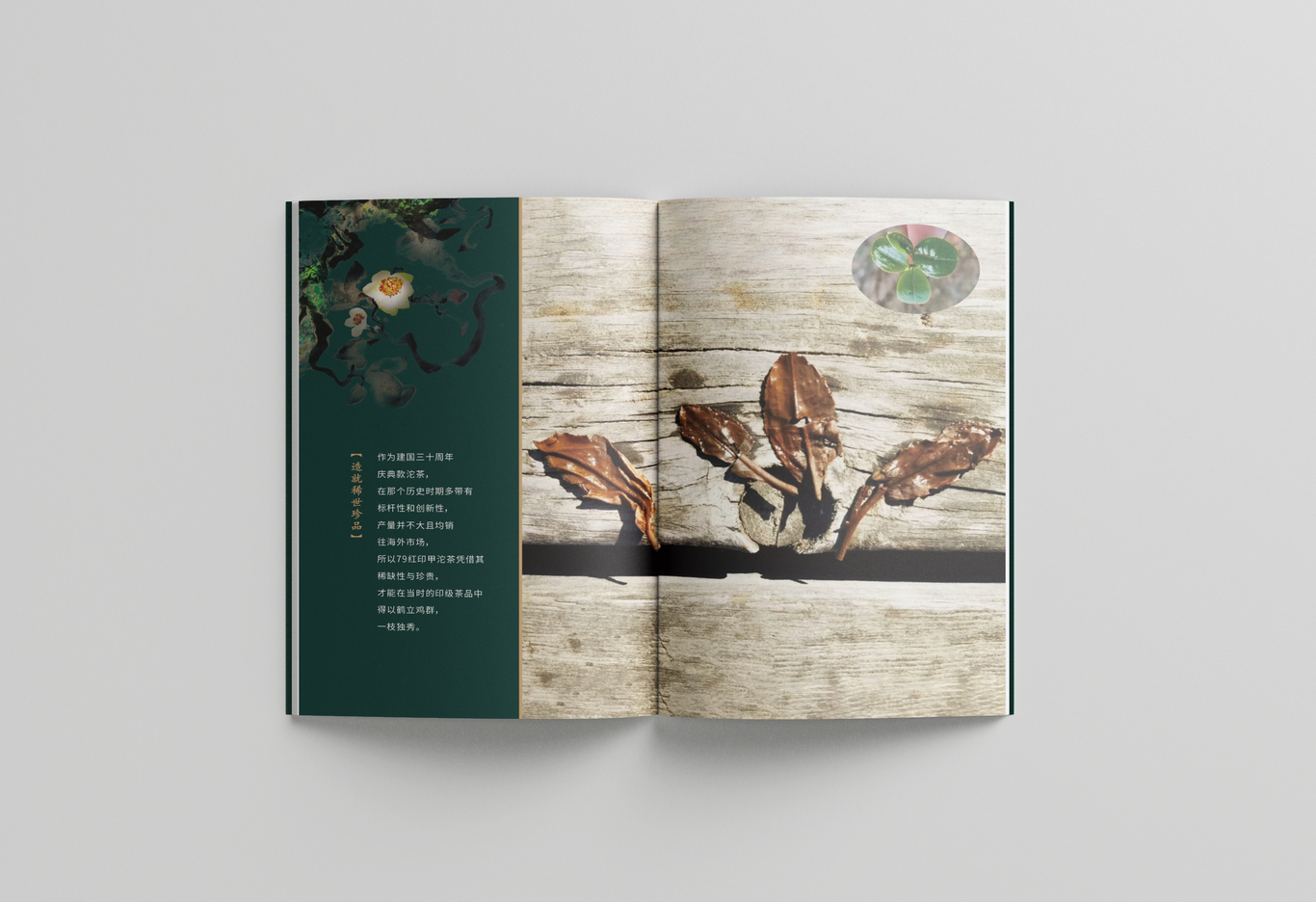 普洱茶-貓耳朵產品手冊設計圖8