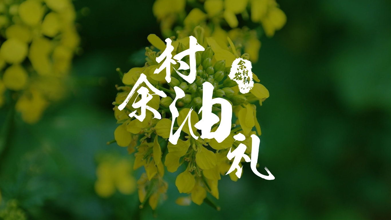 “余生有禮，何其幸運(yùn)”——“余村農(nóng)耕”品牌升級(jí)提案圖12