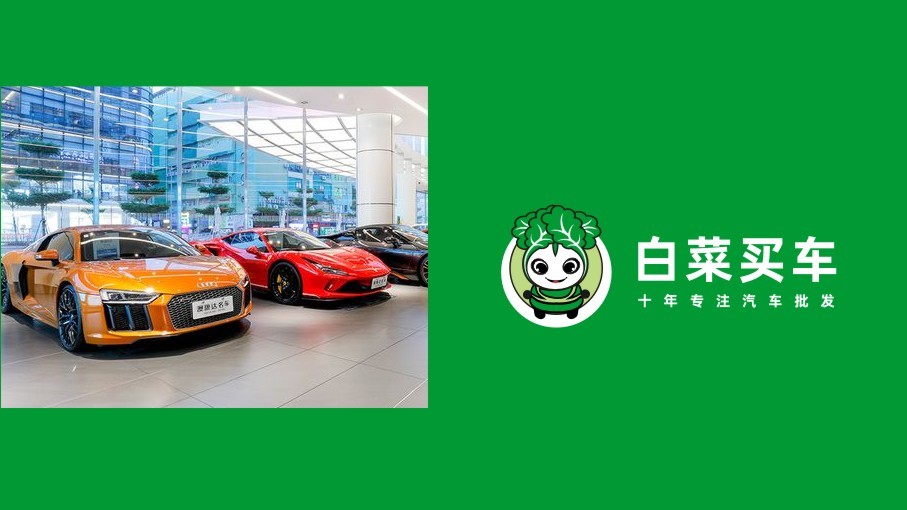 白菜買車網吉祥物設計提案圖2