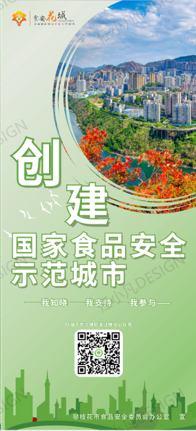 攀枝花市食品安全宣传三折页