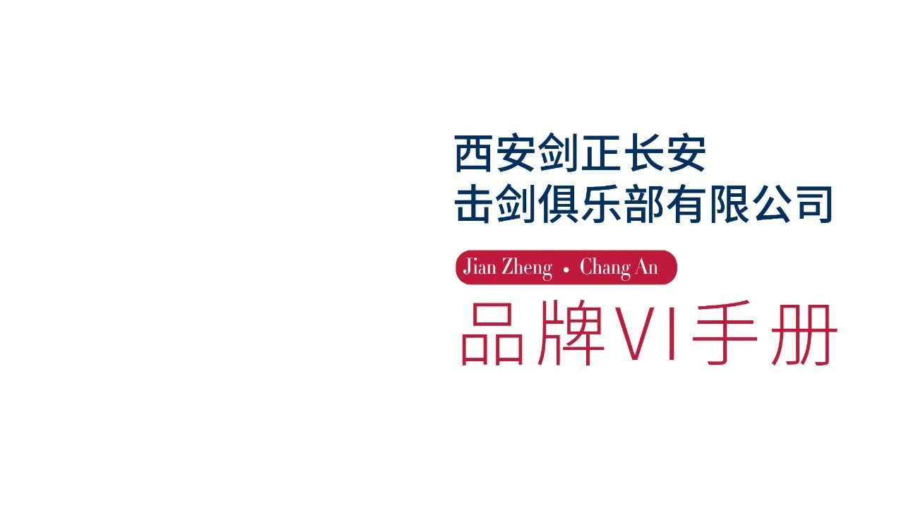 劍正長(zhǎng)安視覺識(shí)別系統(tǒng)VIS圖0