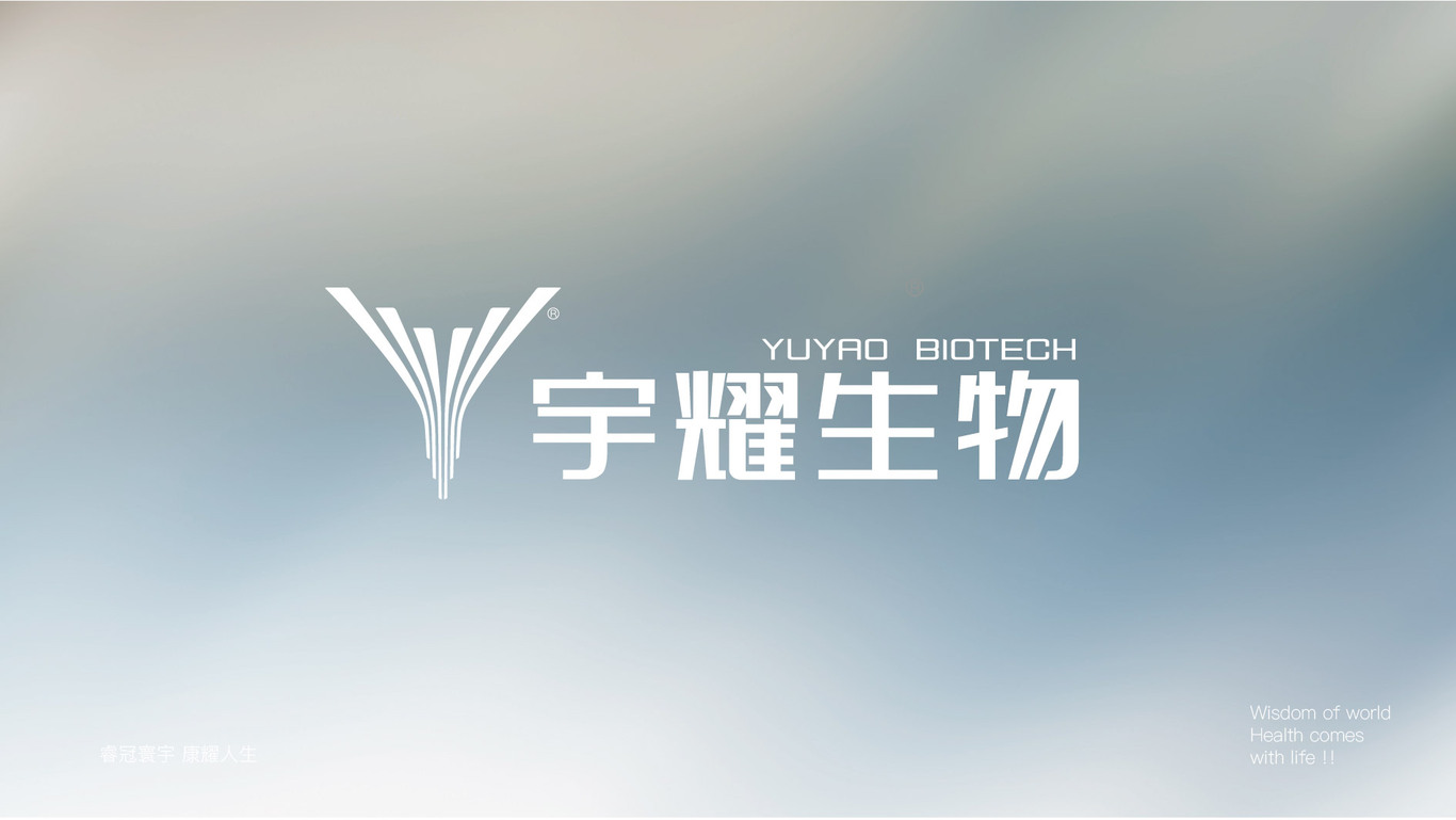 宇耀生物企業(yè)形象策劃（LOGO+VI）圖2