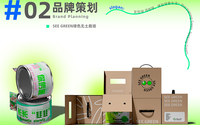 SEE GREEN绿色无土栽培品牌策划