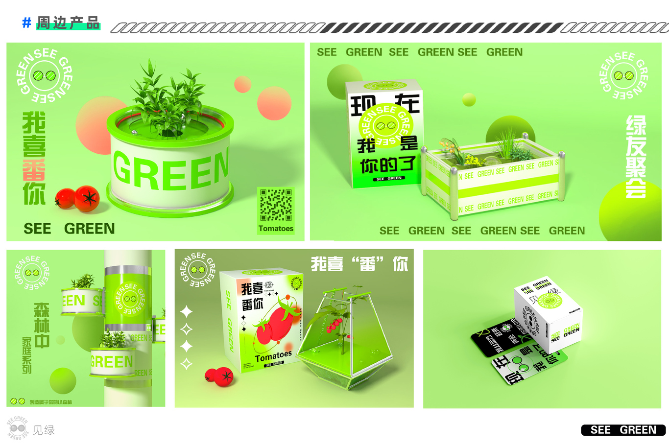 SEE GREEN綠色無(wú)土栽培品牌策劃圖4