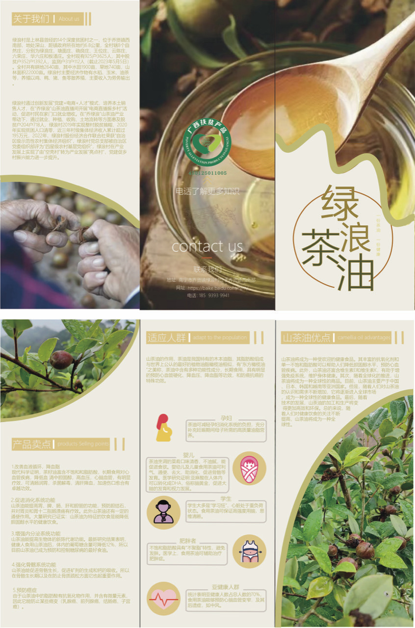 海报，插画，三折页图5