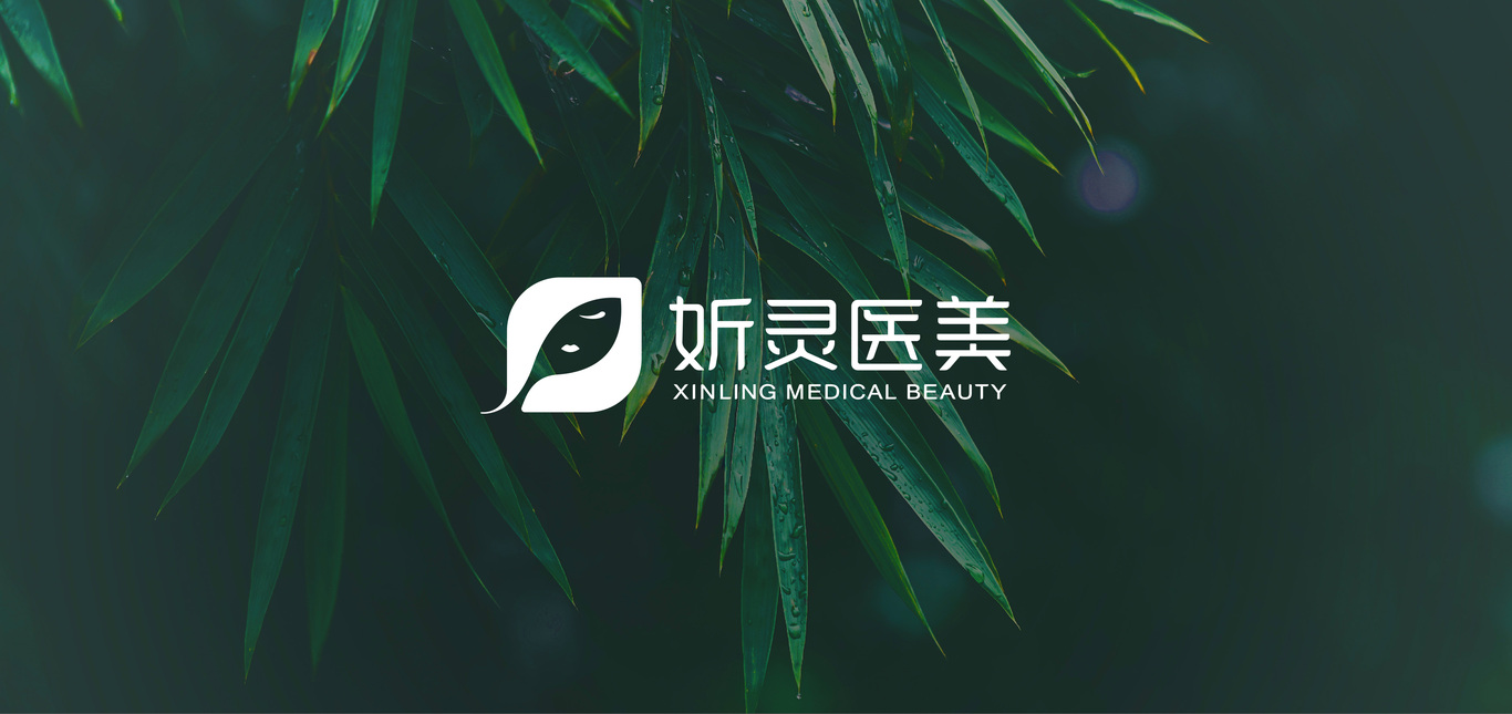 廈門新顏美容科技有限公司LOGO設(shè)計(jì)圖0