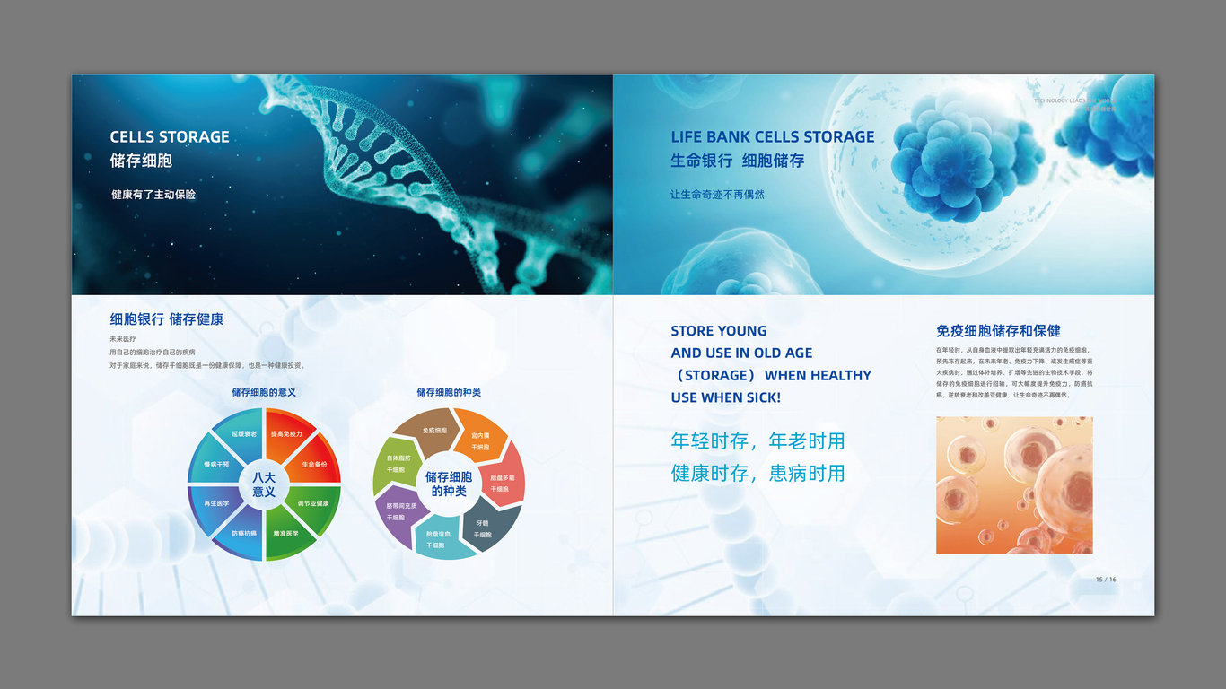 科技类企业画册设计中标图8