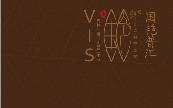 國(guó)艷VI