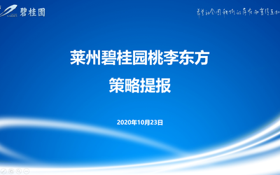 【魯東二部】萊州碧桂園桃李東方策略提報(bào) 2020-10-23