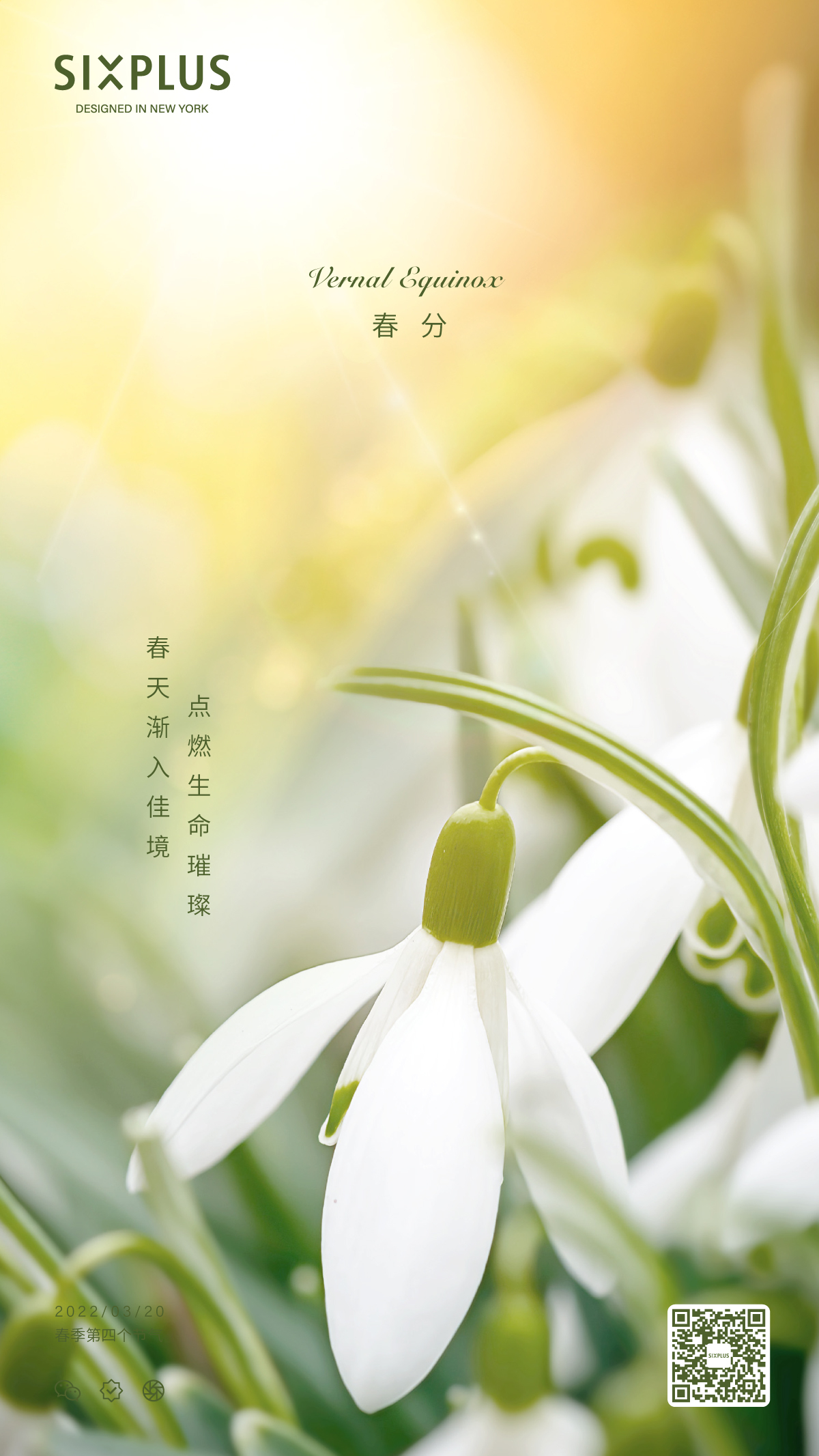 SIXPLUS-節氣海報設計圖0
