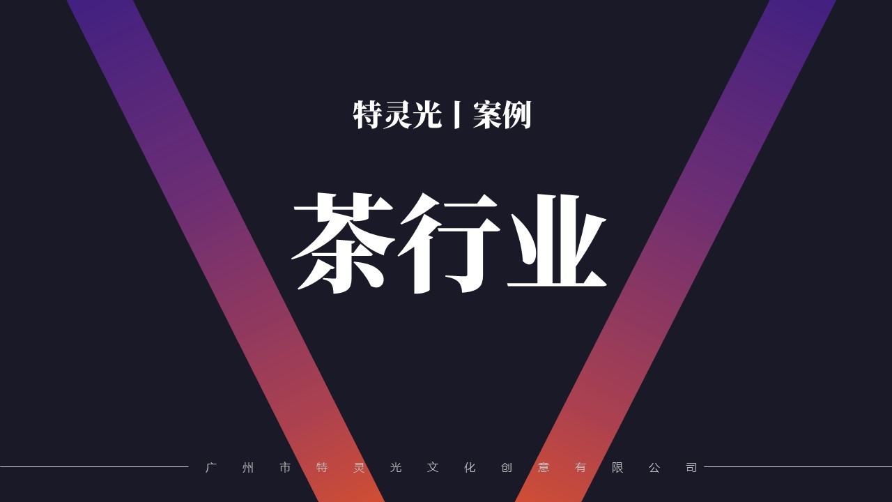 廣州市特靈光文化創(chuàng  )意有限公司（品牌咨詢(xún)與設計案例）圖16
