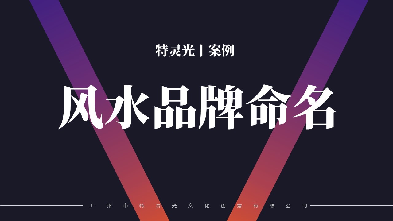 广州市特灵光文化创意有限公司（品牌咨询与设计案例）图5