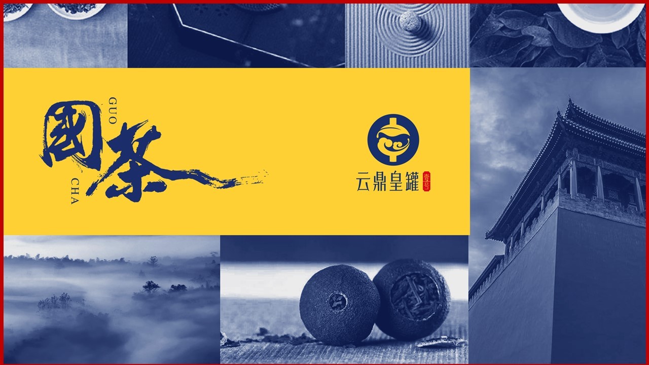 廣州市特靈光文化創(chuàng  )意有限公司（品牌咨詢(xún)與設計案例）圖24