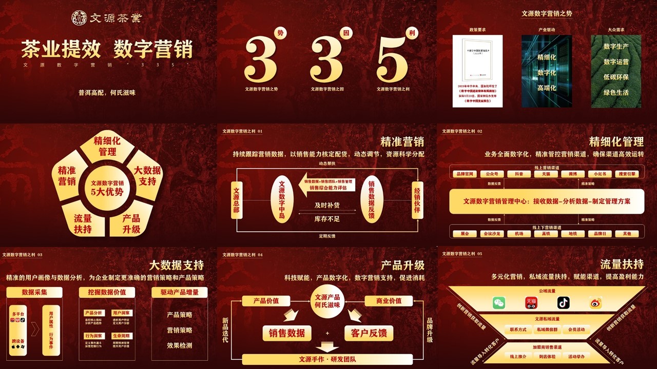 廣州市特靈光文化創(chuàng  )意有限公司（品牌咨詢(xún)與設計案例）圖21