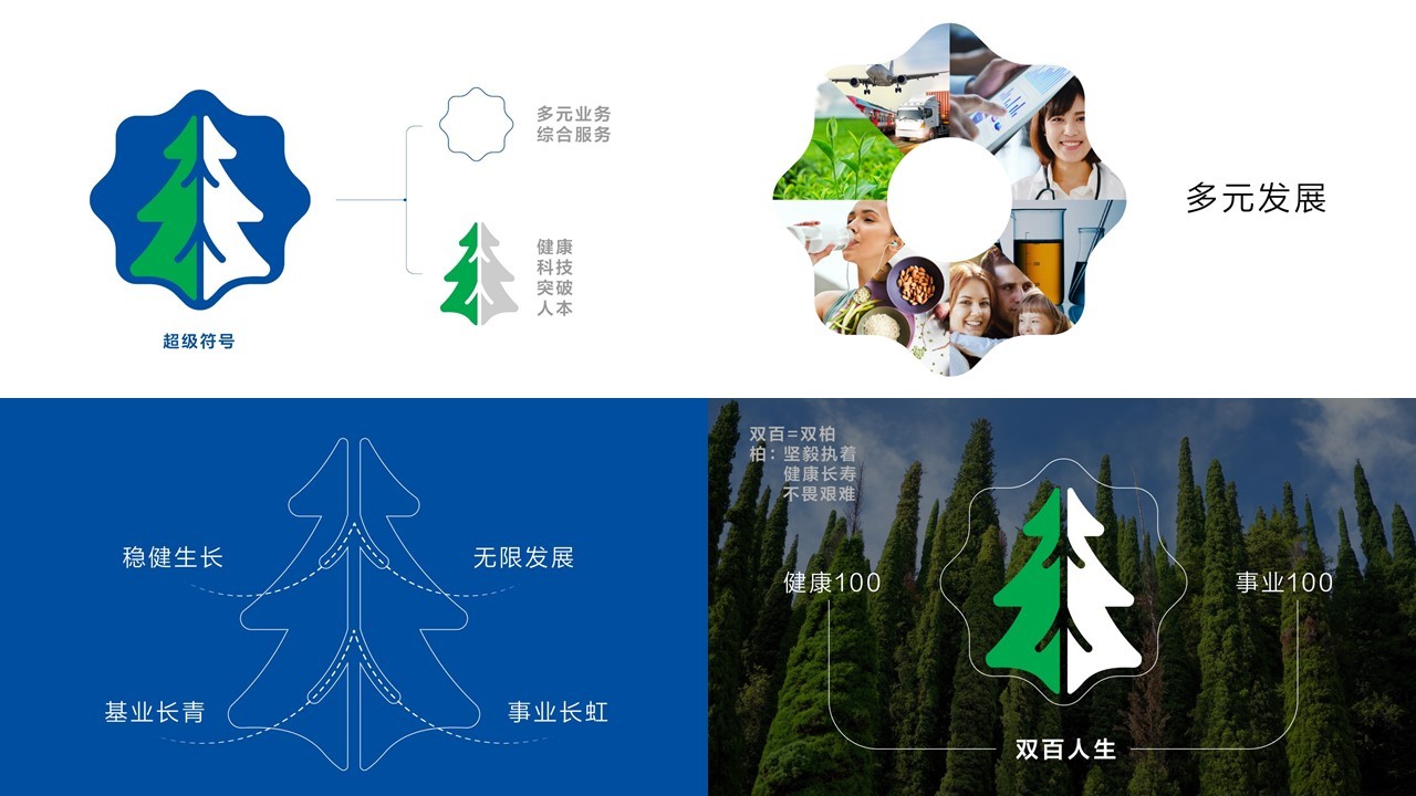 廣州市特靈光文化創(chuàng  )意有限公司（品牌咨詢(xún)與設計案例）圖13