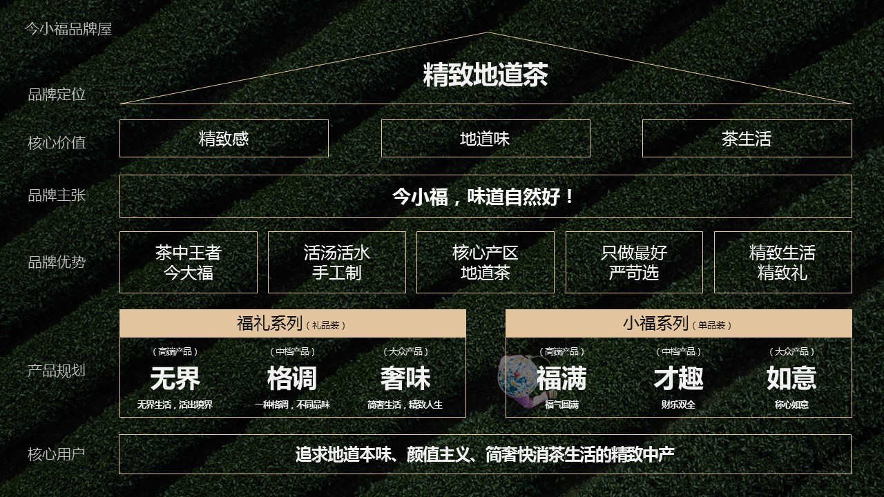 廣州市特靈光文化創(chuàng  )意有限公司（品牌咨詢(xún)與設計案例）圖18