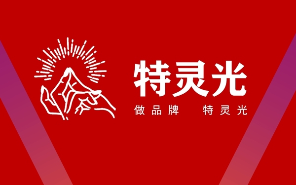 廣州市特靈光文化創(chuàng)意有限公司（品牌咨詢與設(shè)計(jì)案例）