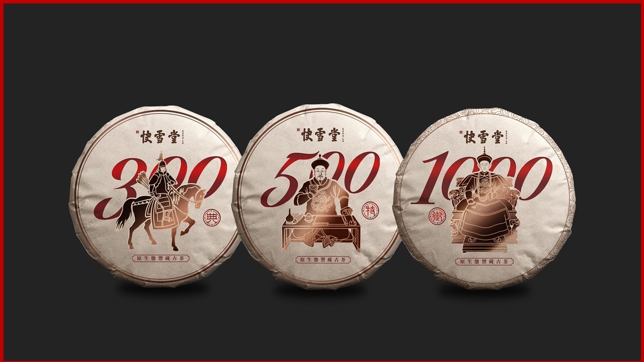 廣州市特靈光文化創(chuàng  )意有限公司（品牌咨詢(xún)與設計案例）圖41