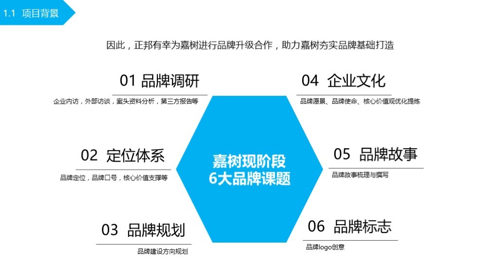 【品牌理念与品牌定位体系】-嘉树医疗图3