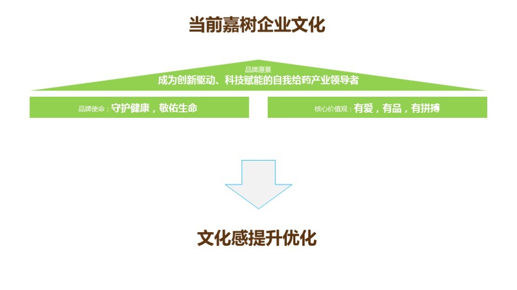 【品牌理念与品牌定位体系】-嘉树医疗图119