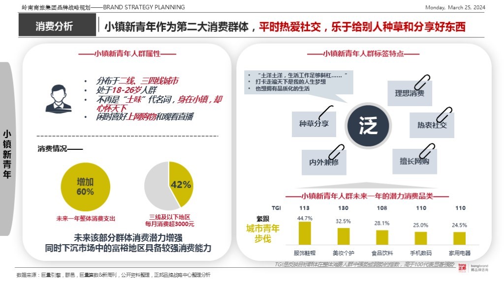 【集团品牌战略体系与集团品牌架构】-岭南集团图34