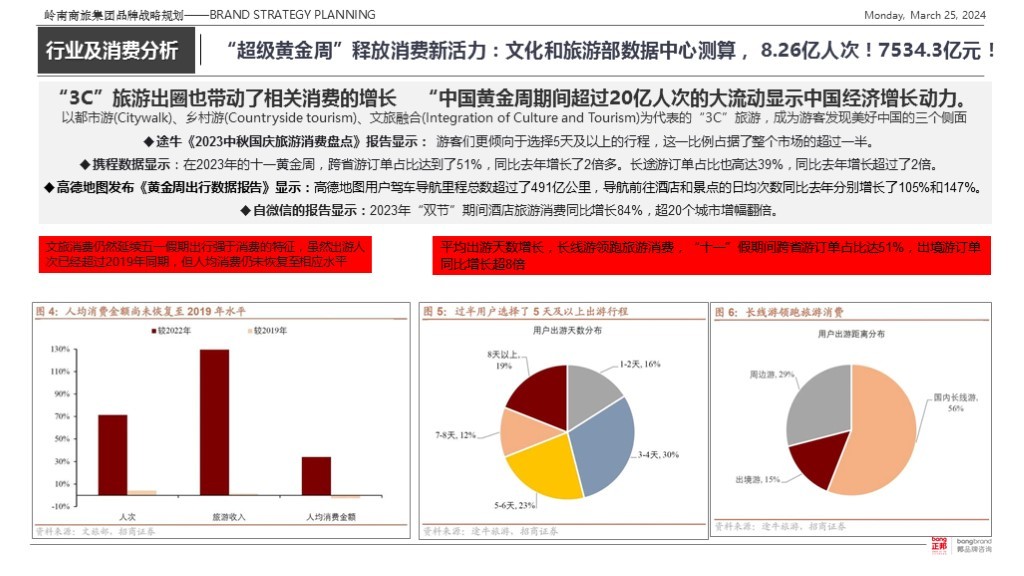 【集团品牌战略体系与集团品牌架构】-岭南集团图13