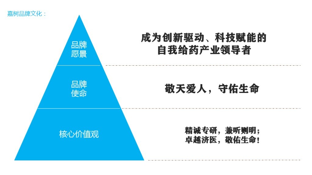 【品牌理念与品牌定位体系】-嘉树医疗图132