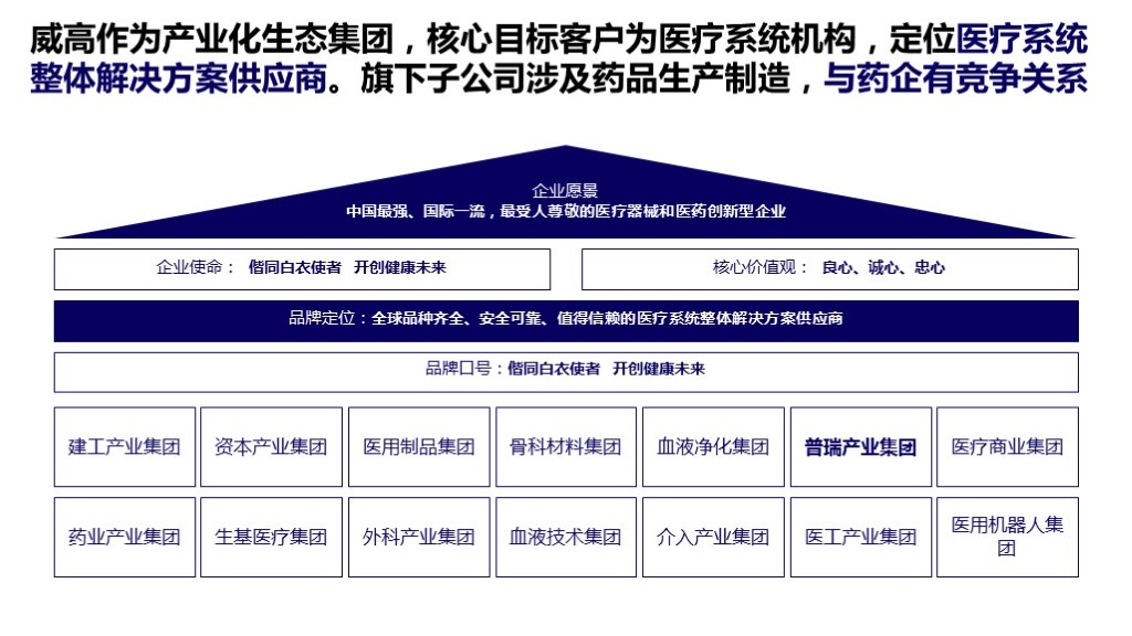 【品牌理念与品牌定位体系】-嘉树医疗图56