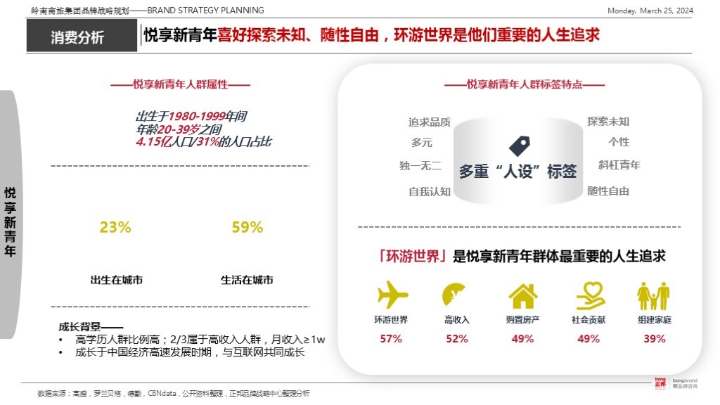 【集团品牌战略体系与集团品牌架构】-岭南集团图51