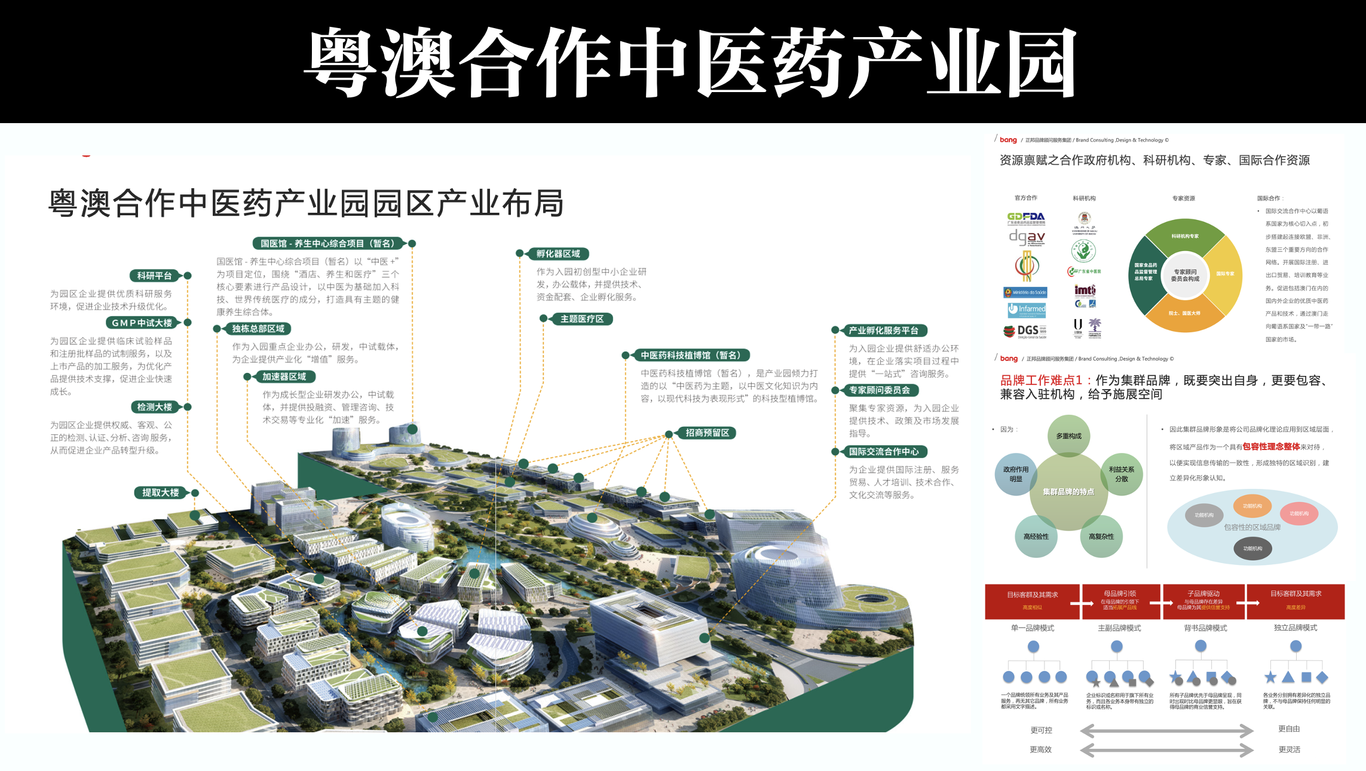 品牌策劃、設(shè)計、傳播、會展活動類部分案例圖7