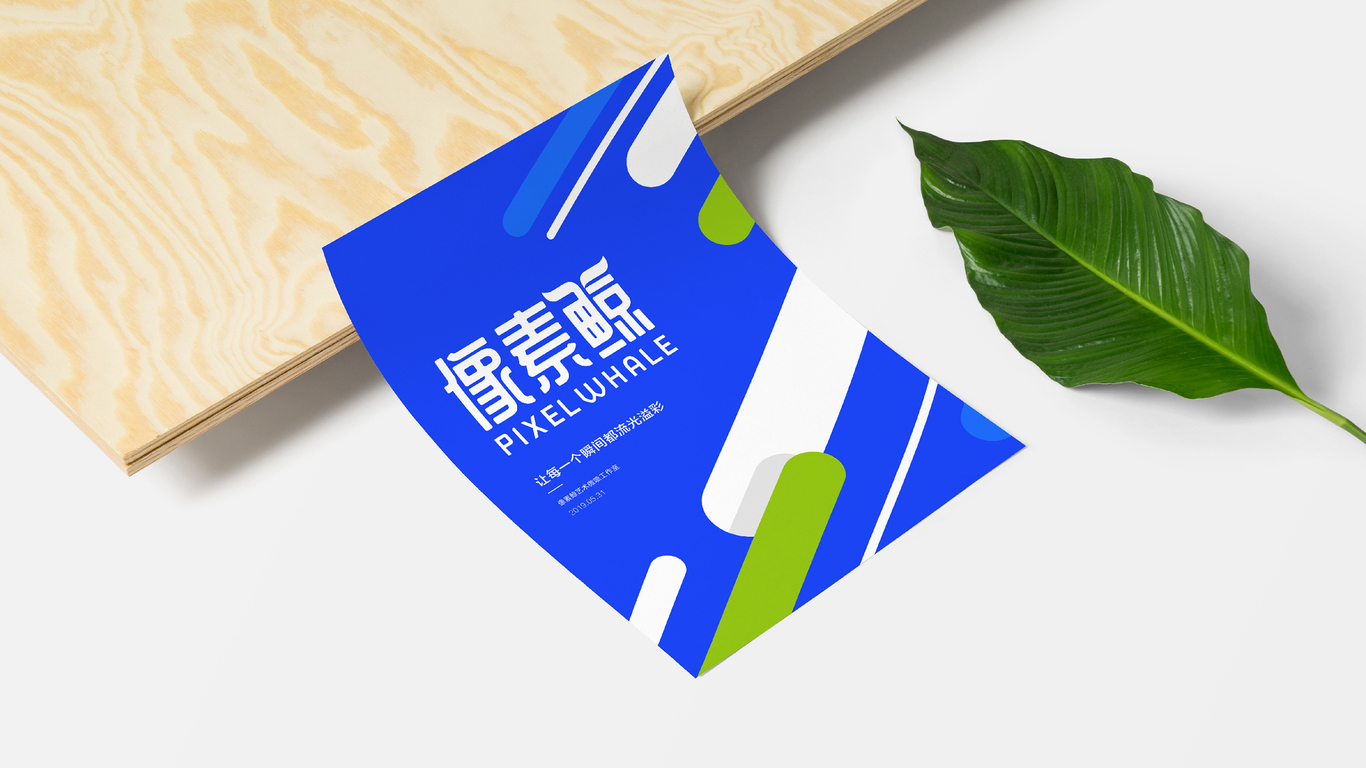 像素鲸艺术微喷品牌LOGO设计｜工作室打印LOGO VI设计图41