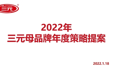 三元母品牌年度策略提案