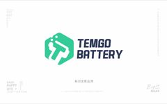 TEMGO BATTERY电动...