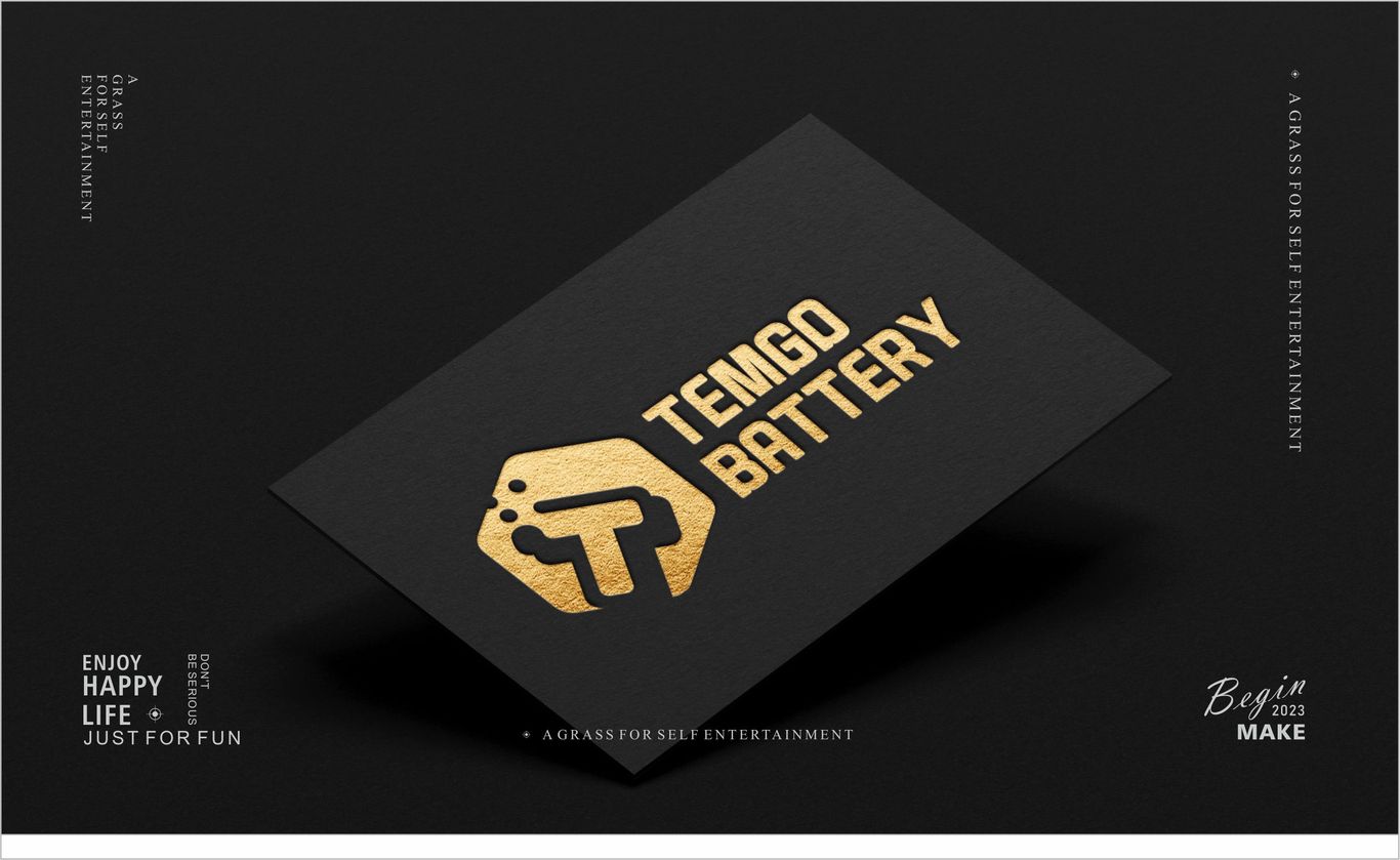 TEMGO BATTERY電動工具品牌LOGO圖5