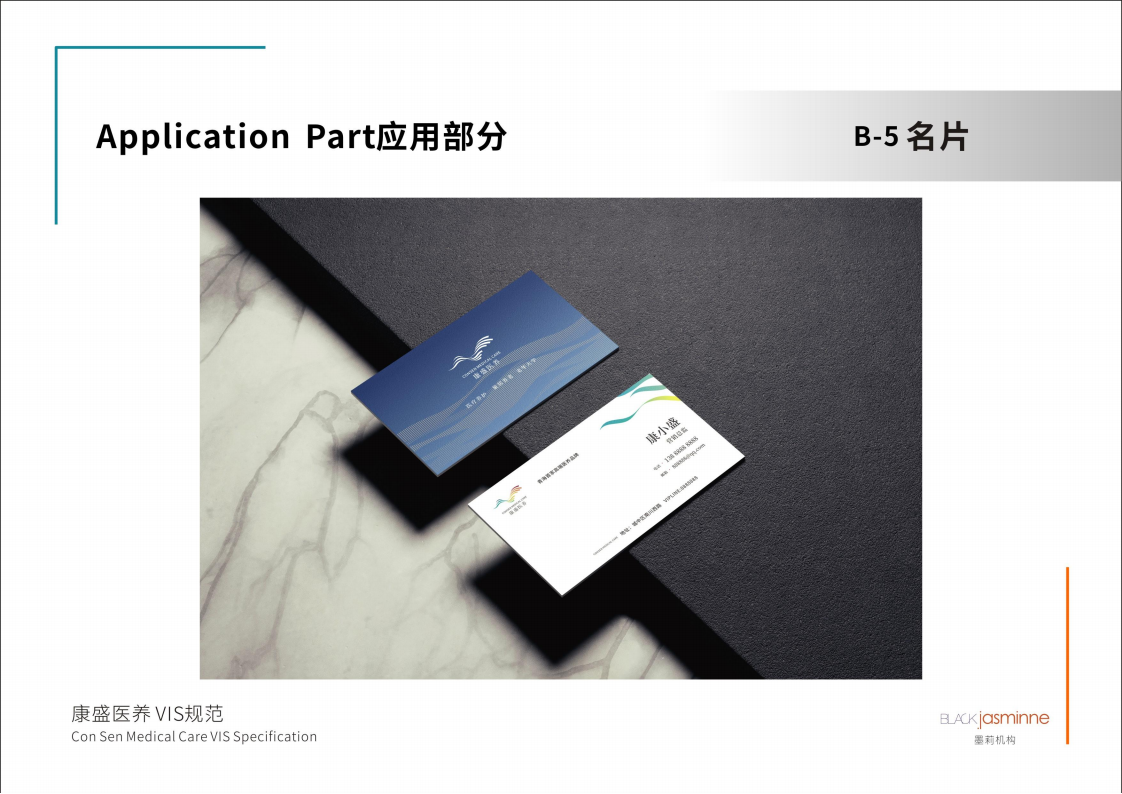康養(yǎng)品牌VIS設計圖26